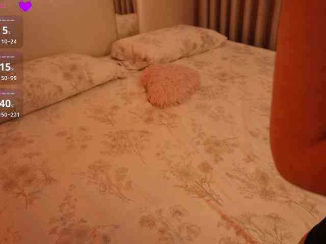 Rerince webcam