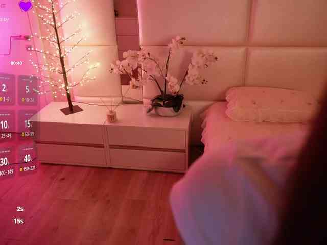 Rerince webcam