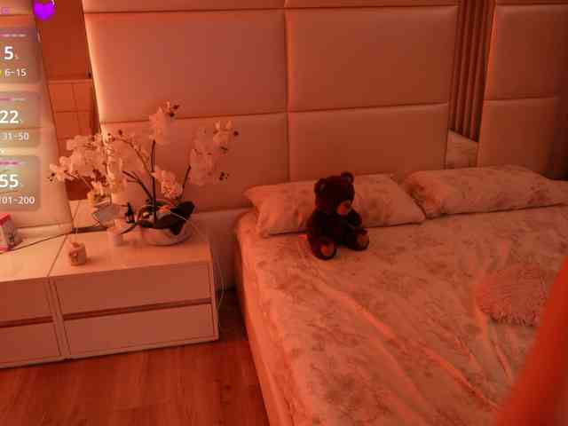 Rerince webcam