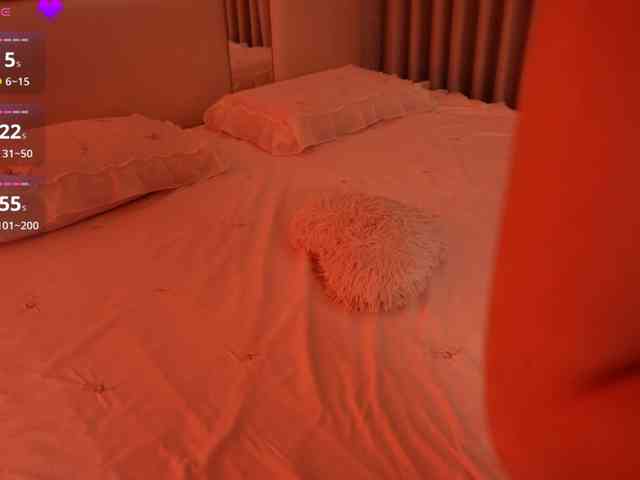 Rerince webcam