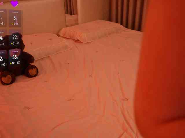 Rerince webcam
