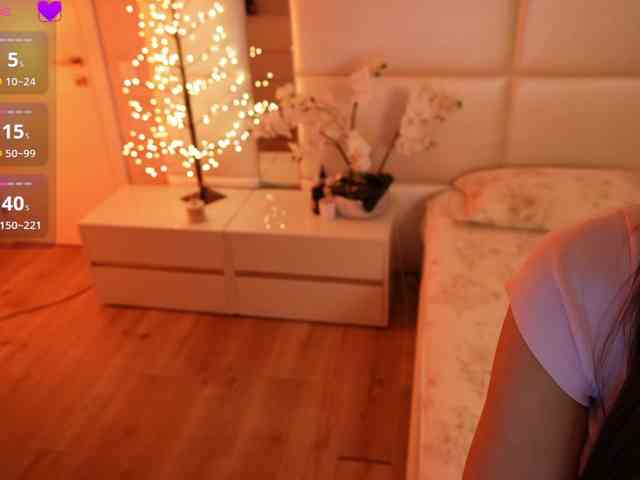 Rerince webcam