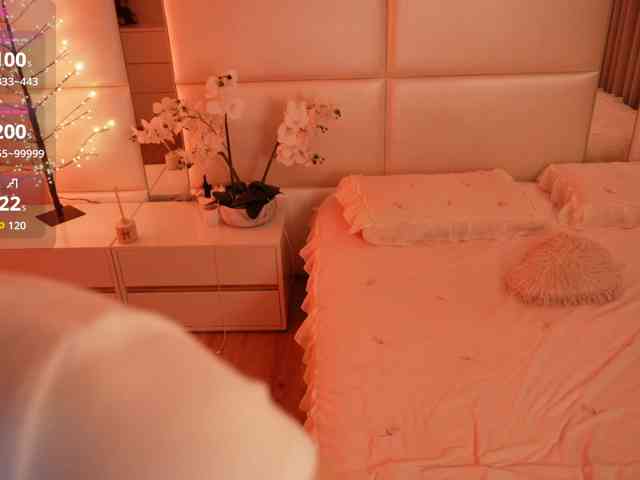Rerince webcam