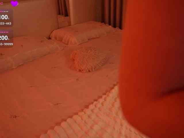Rerince webcam