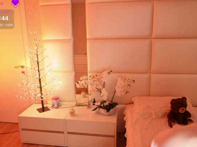 Rerince webcam