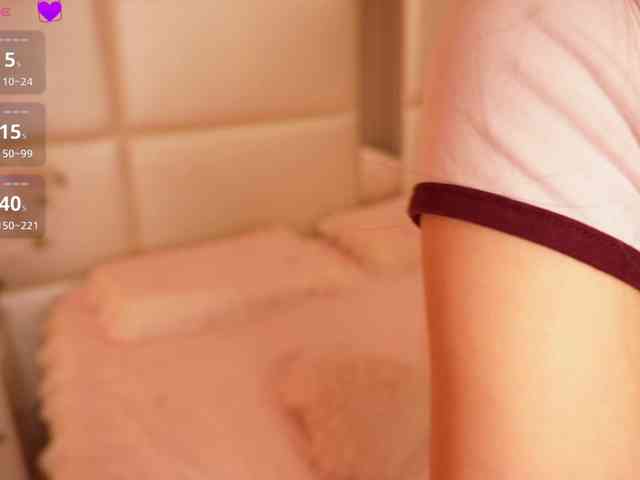 Rerince webcam
