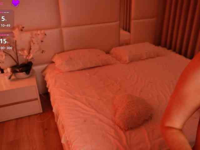 Rerince webcam