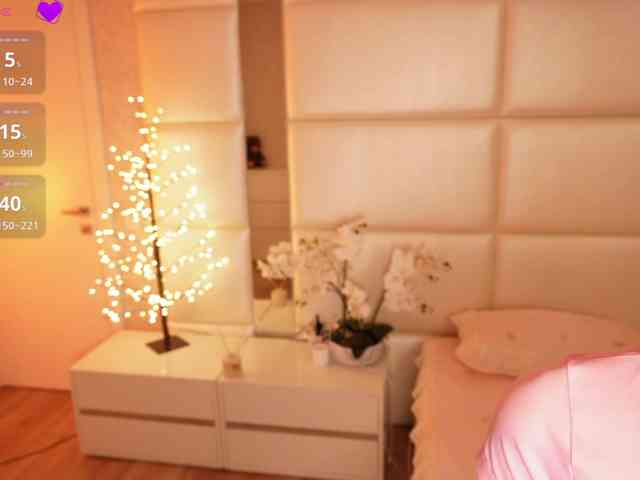 Rerince webcam