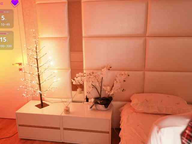 Rerince webcam