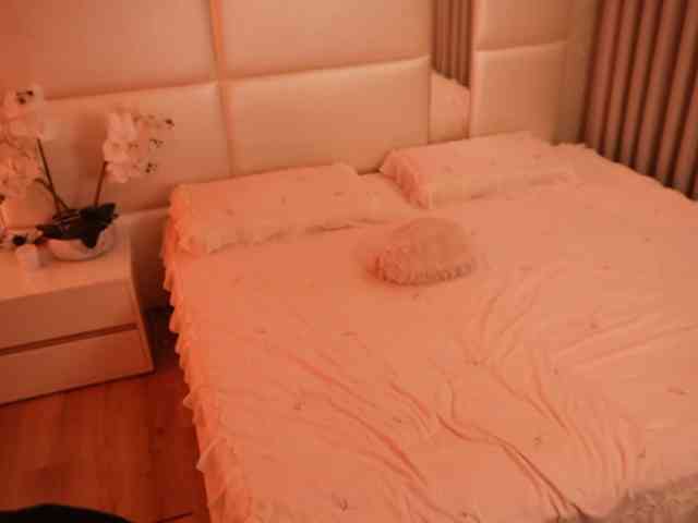 Rerince webcam
