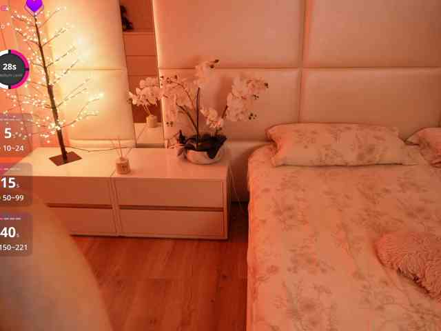 Rerince webcam