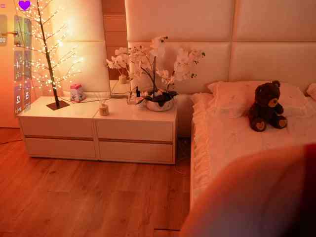 Rerince webcam