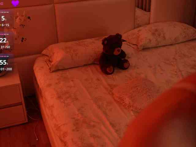 Rerince webcam