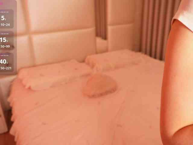 Rerince webcam