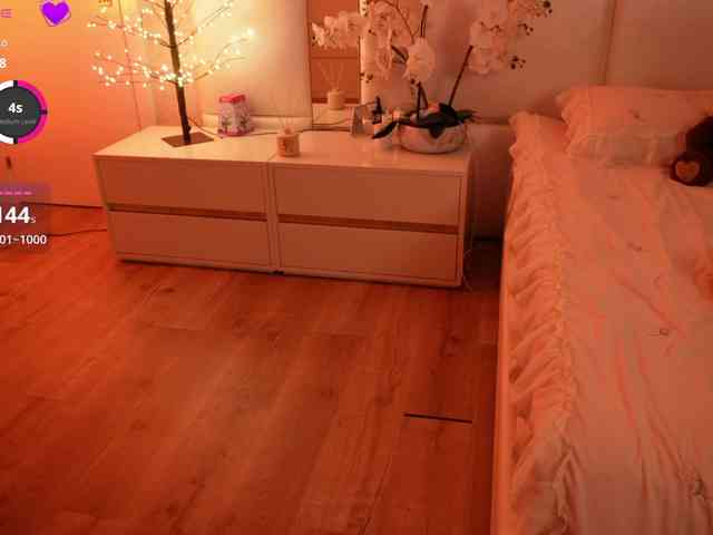 Rerince webcam