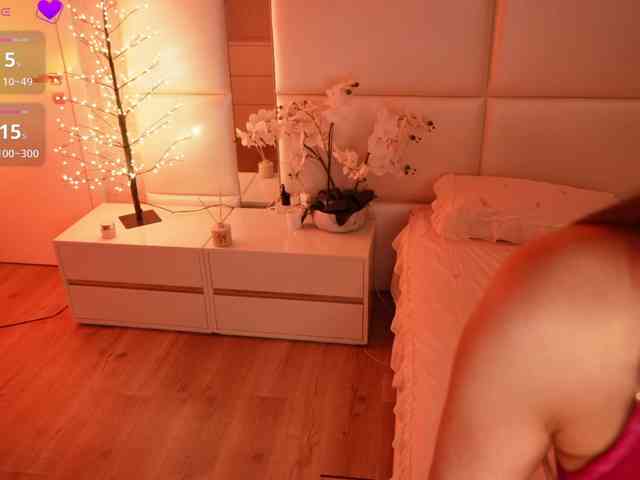 Rerince webcam