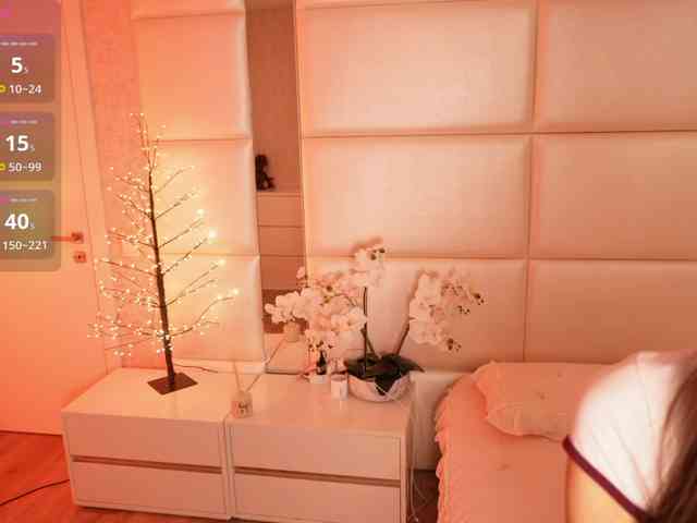 Rerince webcam