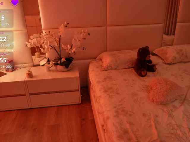 Rerince webcam