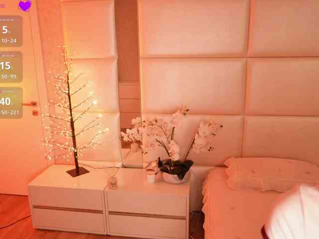 Rerince webcam