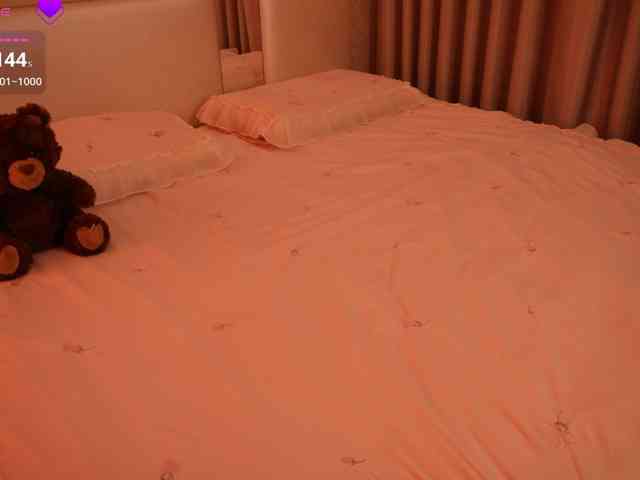 Rerince webcam