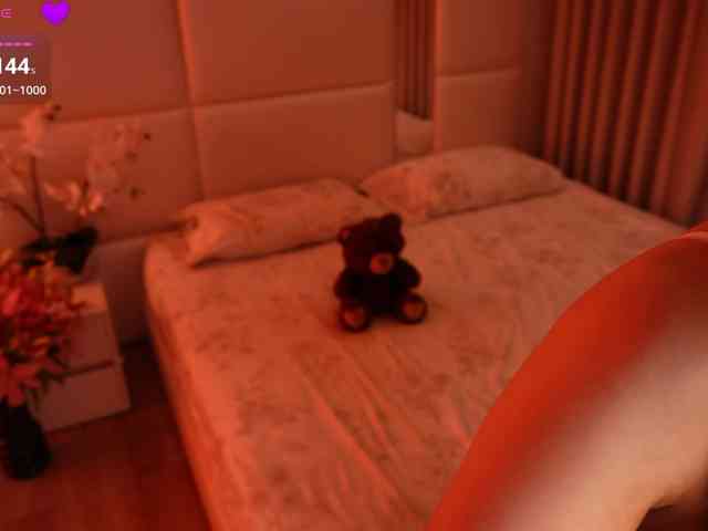 Rerince webcam