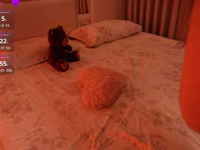 Rerince webcam