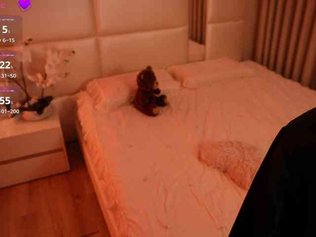 Rerince webcam