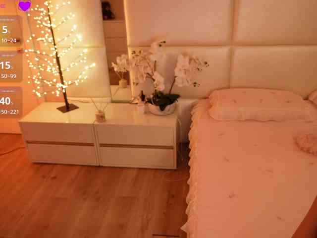 Rerince webcam
