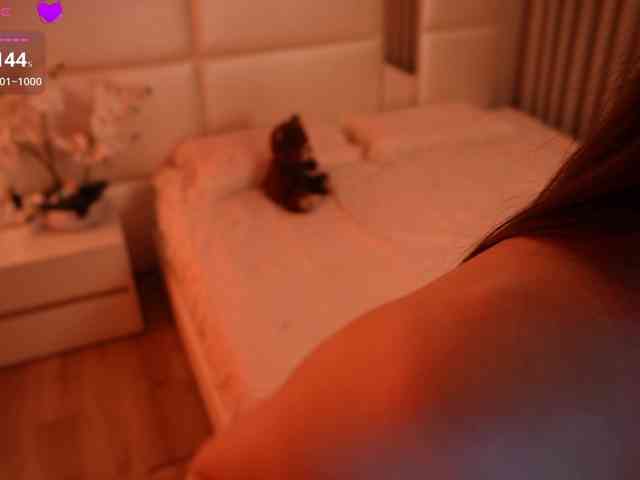Rerince webcam