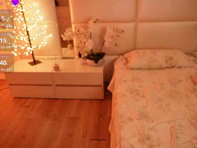 Rerince webcam