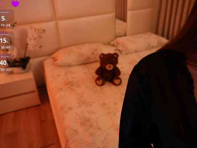 Rerince webcam