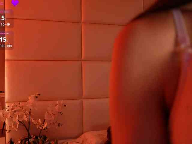 Rerince webcam