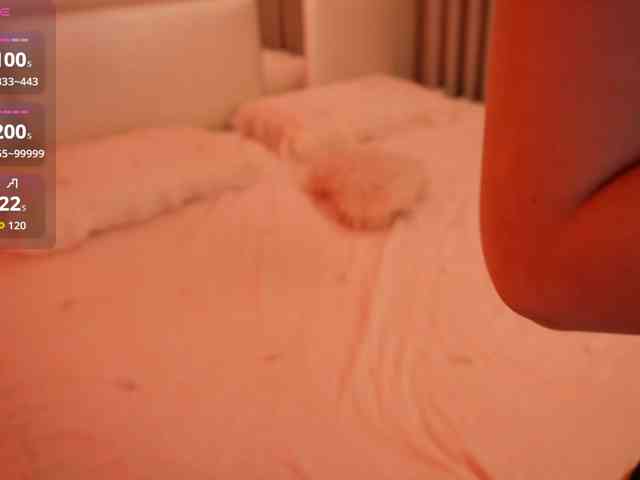 Rerince webcam