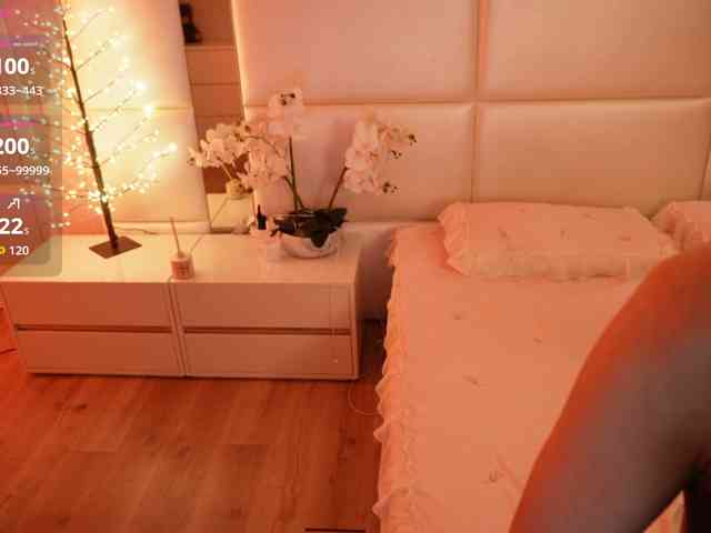 Rerince webcam
