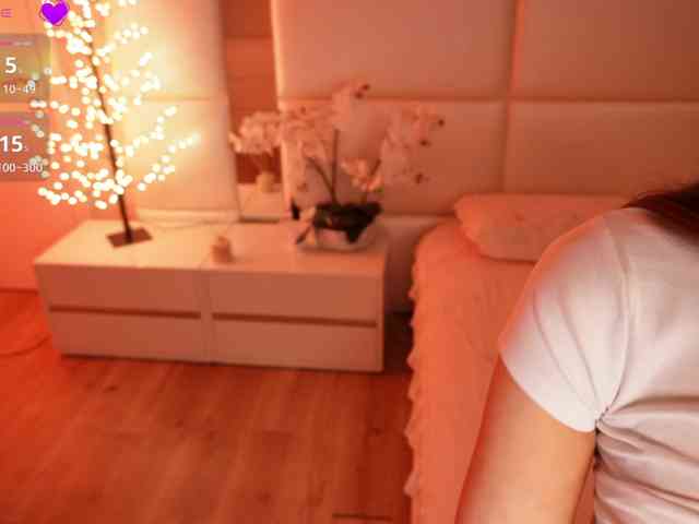 Rerince webcam