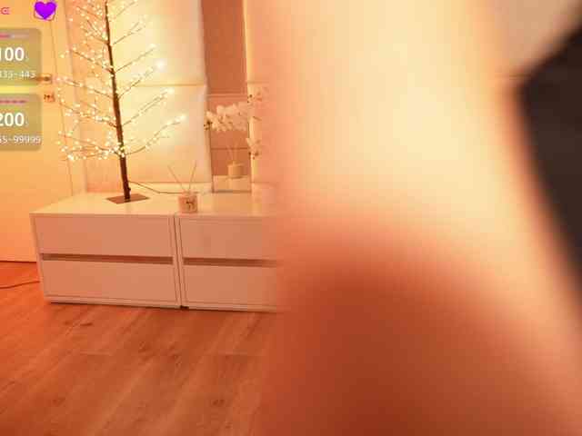 Rerince webcam