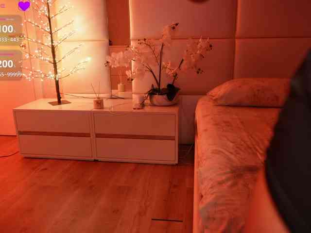 Rerince webcam