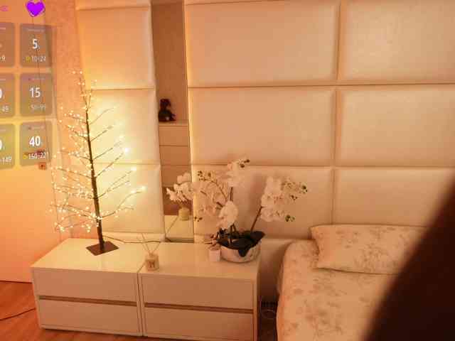 Rerince webcam