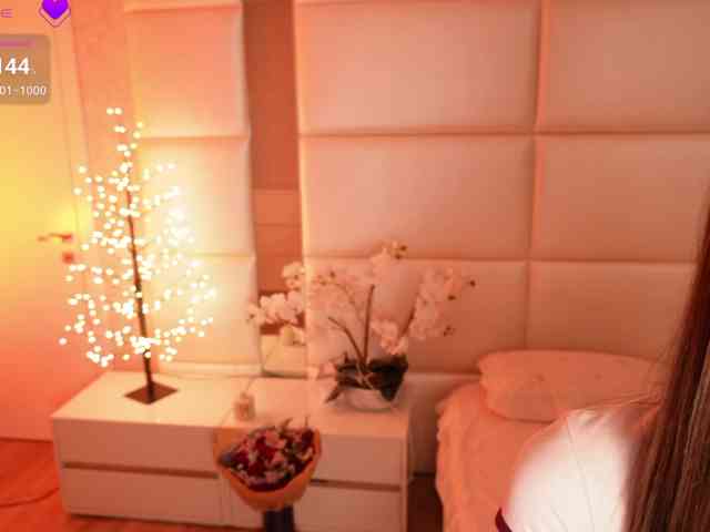 Rerince webcam