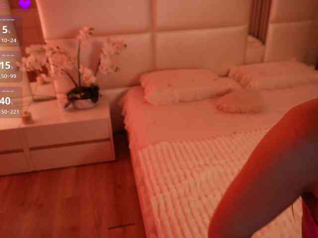 Rerince webcam