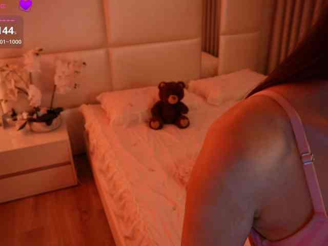 Rerince webcam