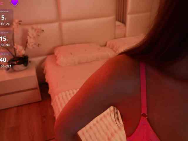 Rerince webcam