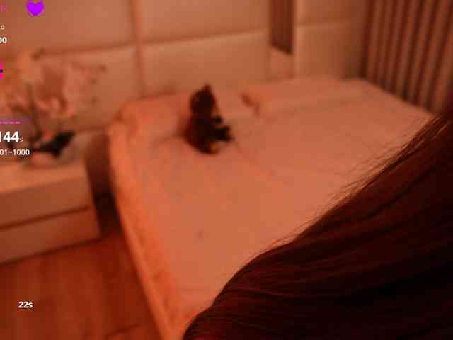 Rerince webcam