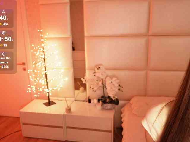 Rerince webcam