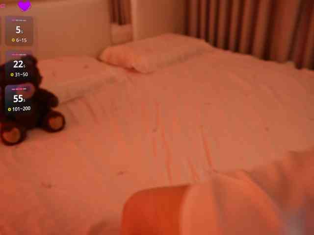 Rerince webcam