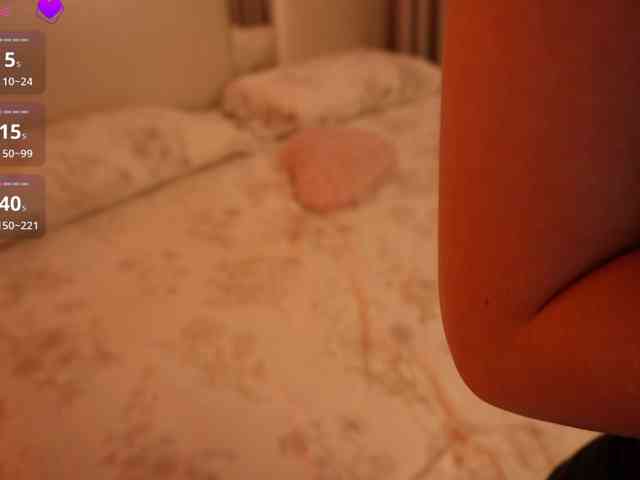 Rerince webcam