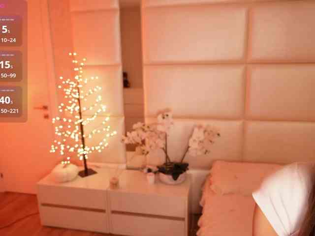 Rerince webcam