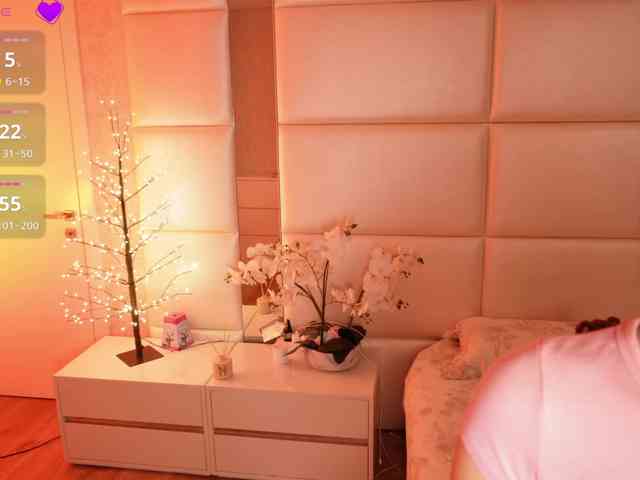 Rerince webcam