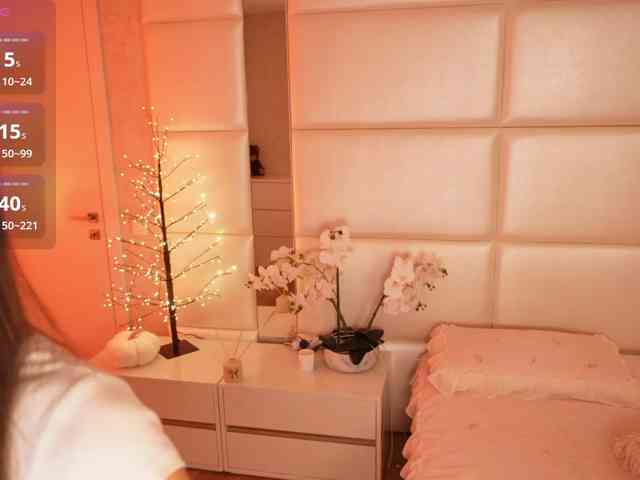Rerince webcam