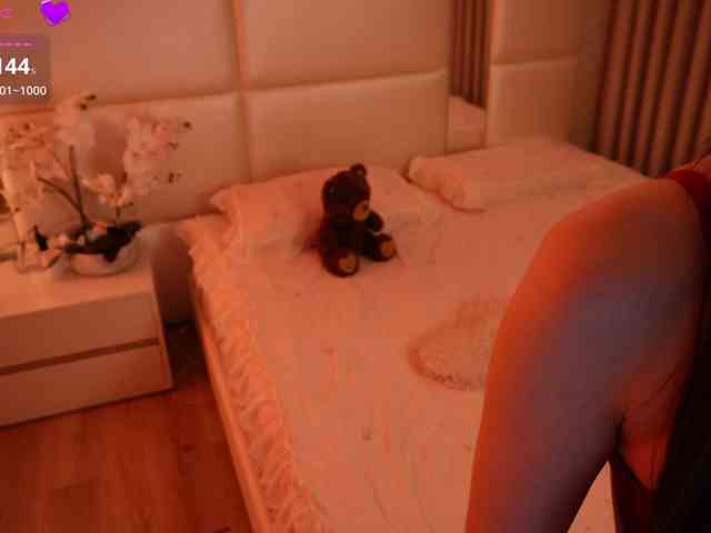 Rerince webcam